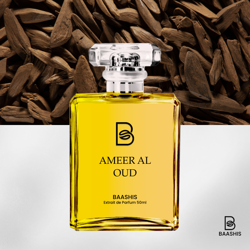 Ameer Al Oud